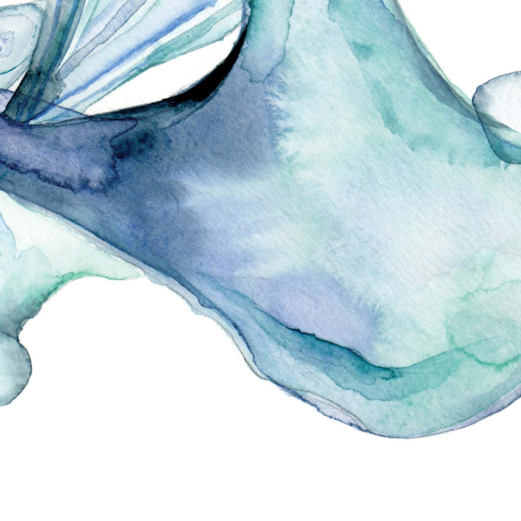 Temporomandibular joint art