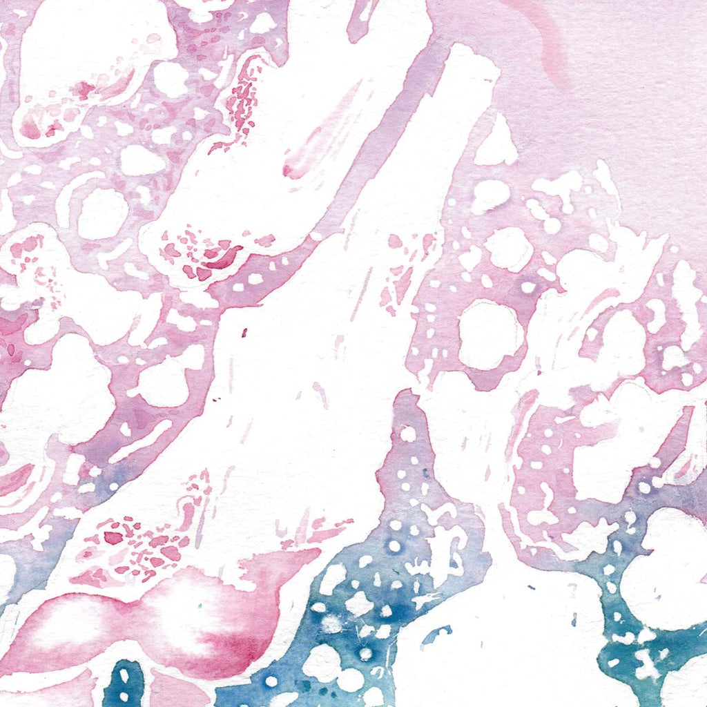 Abstract Bone Marrow Histology Art