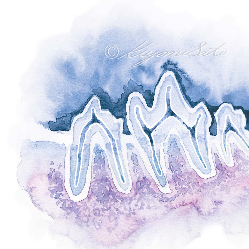 Veterinary Dentistry Tooth Art