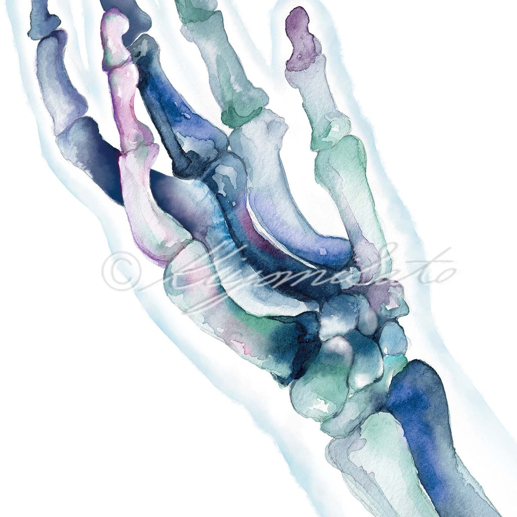 Hand Bones Posters Set of 3