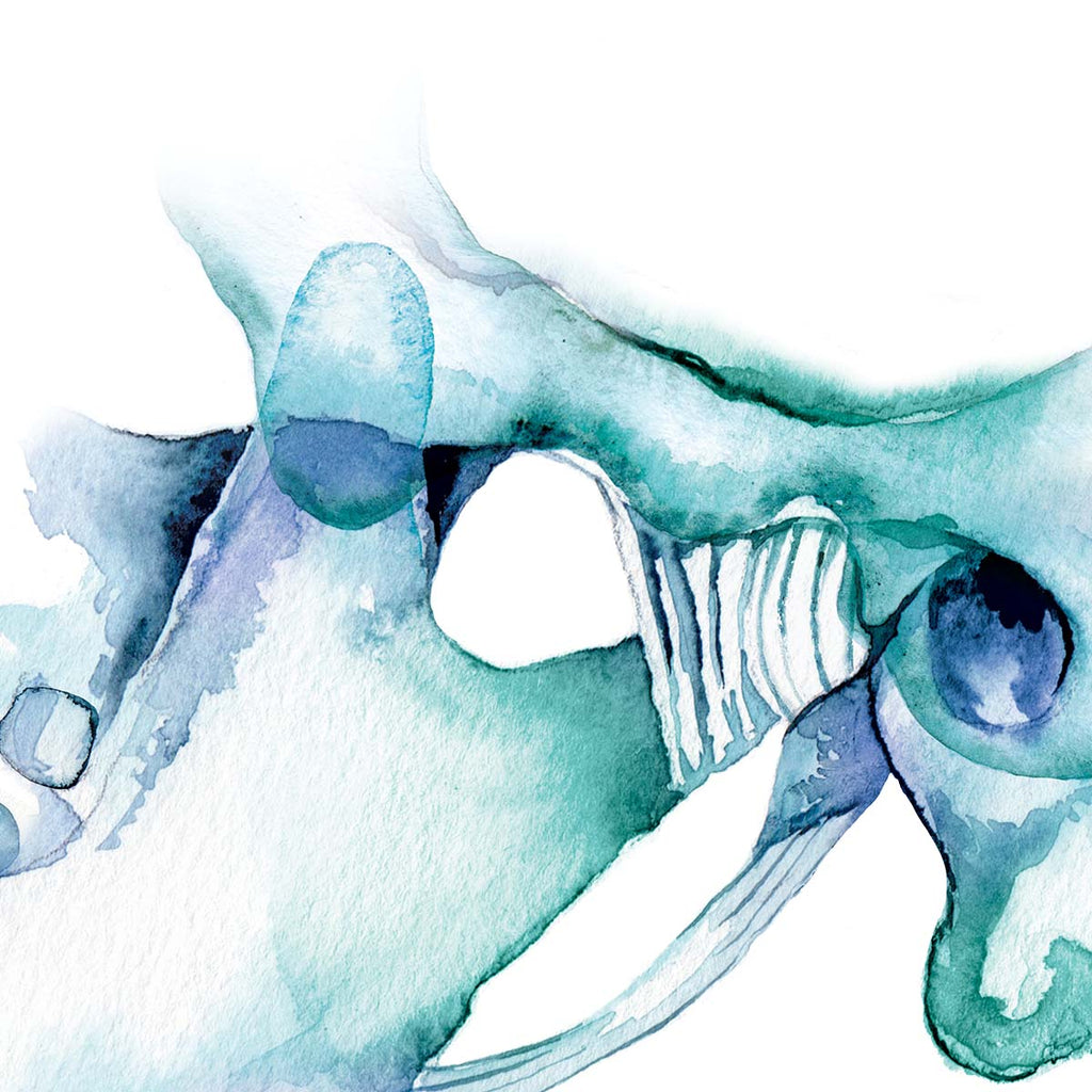 TMJ and Ligament Art Print