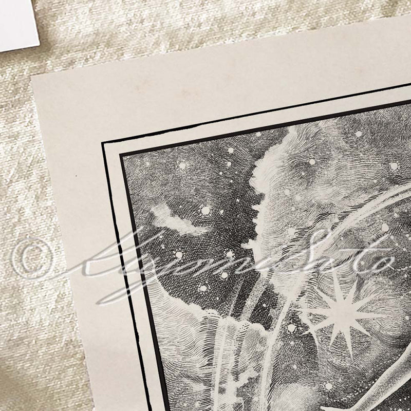 The Star Poster