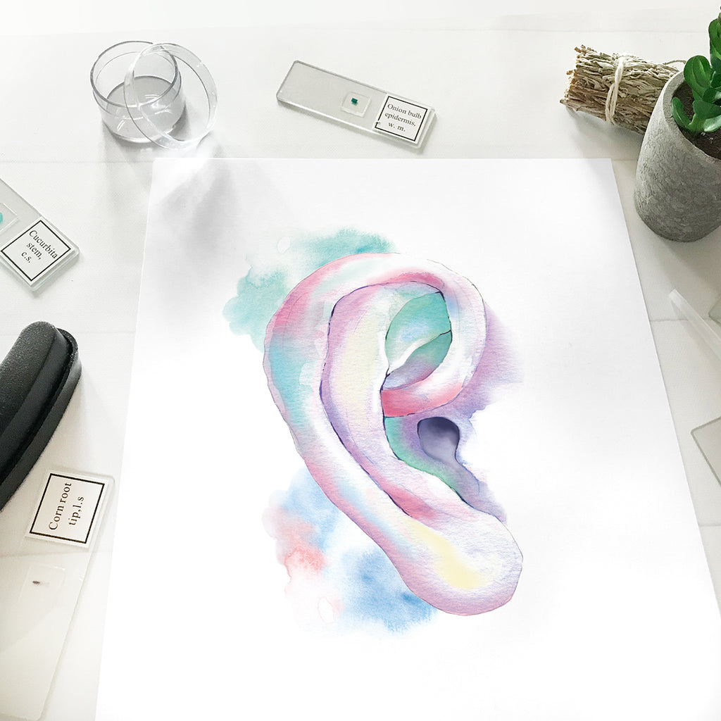 Ear Art Print