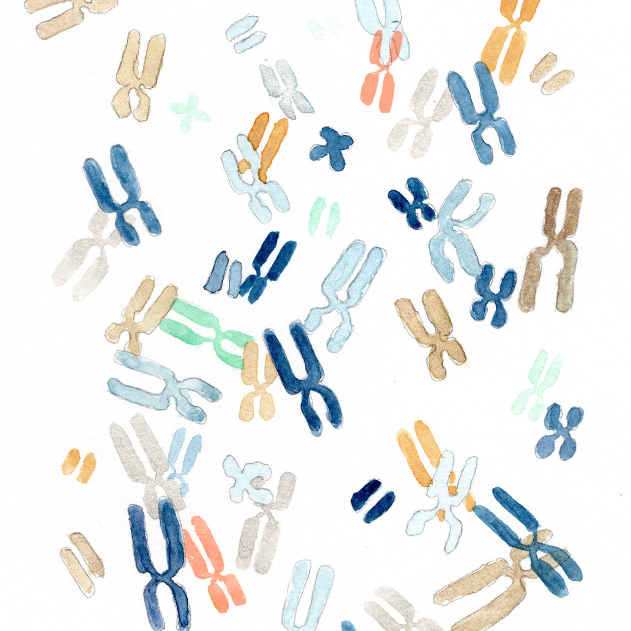 Chromosome Patterns – The Forest Cloak