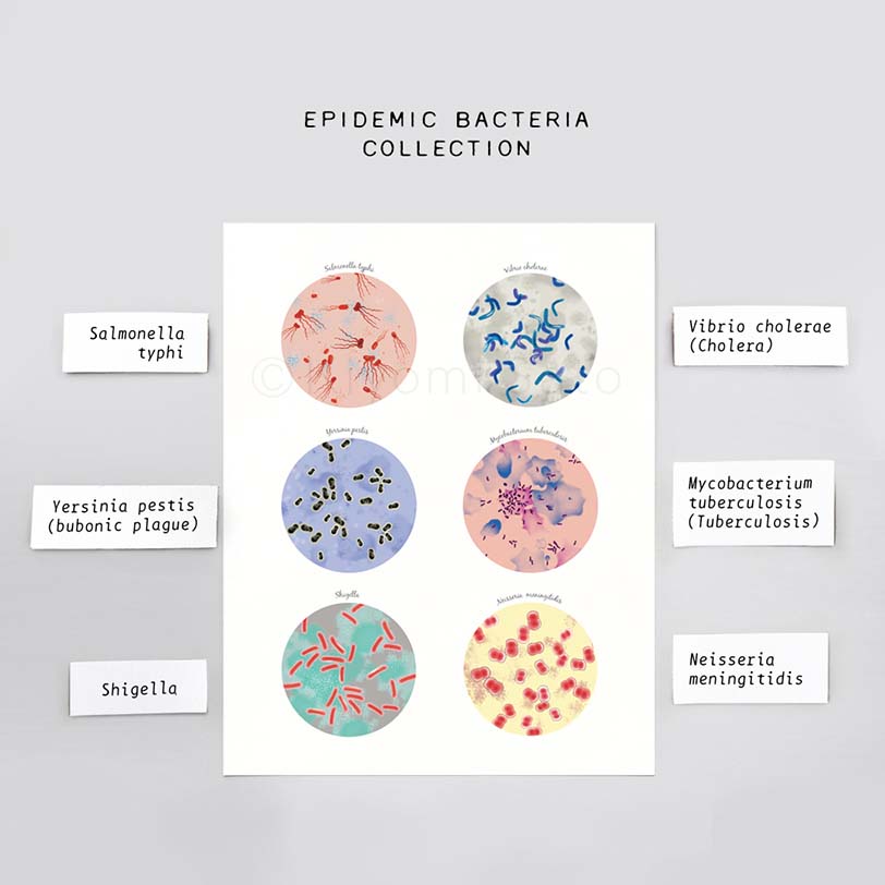 Epidemic Bacteria Collection