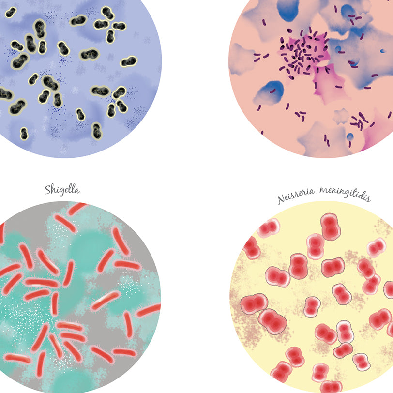 Epidemic Bacteria Collection