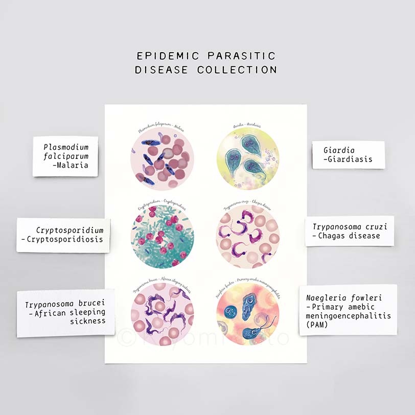 Parasitic Disease Collection