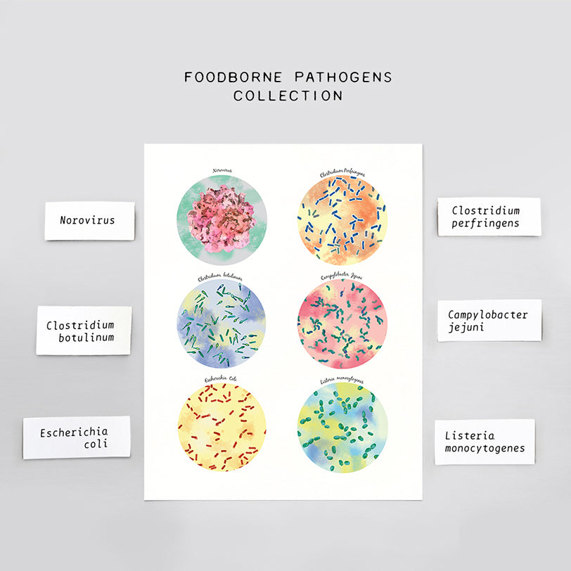 Foodborne Pathogens Collection
