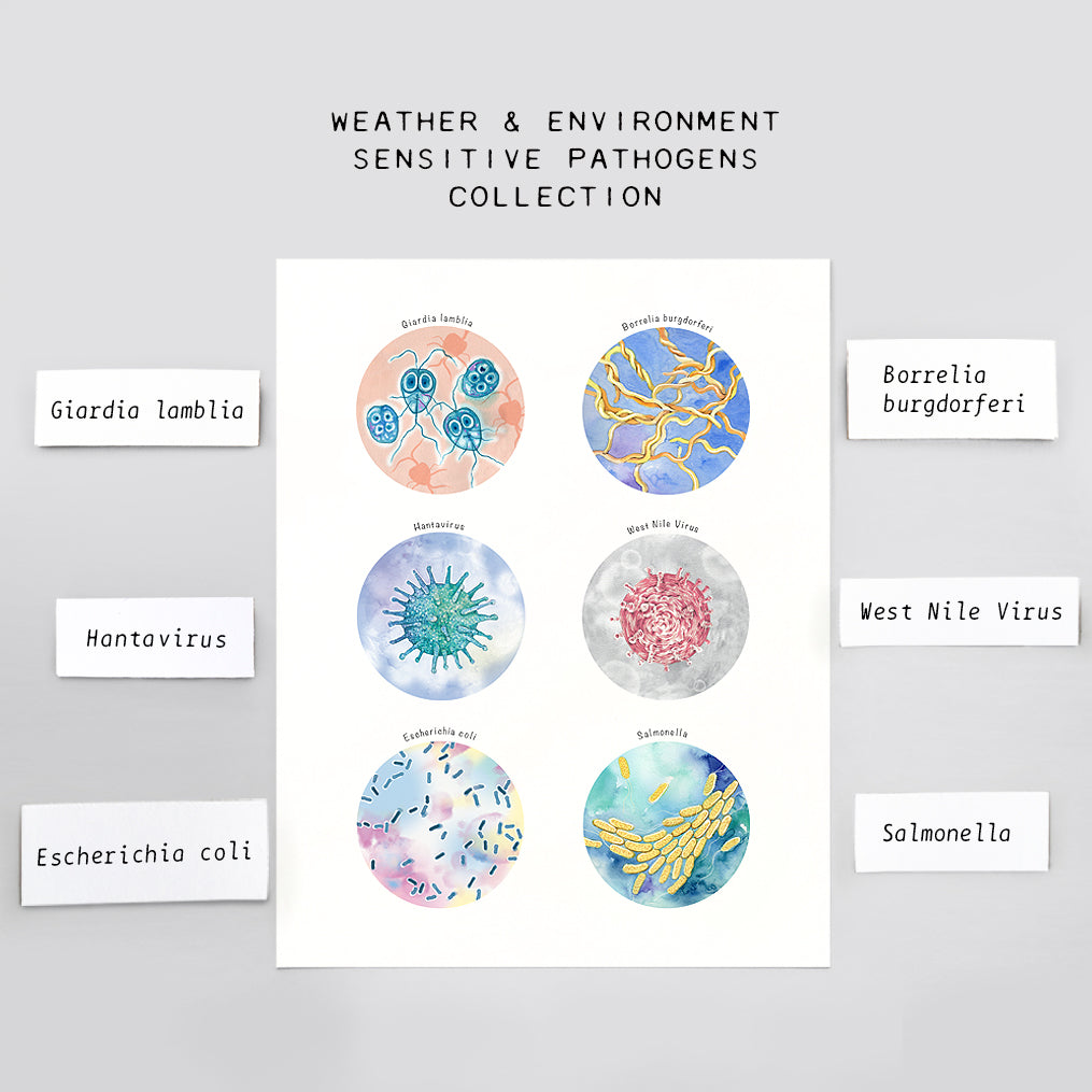 Climate Sensitive Disease Causing Pathogens Collection