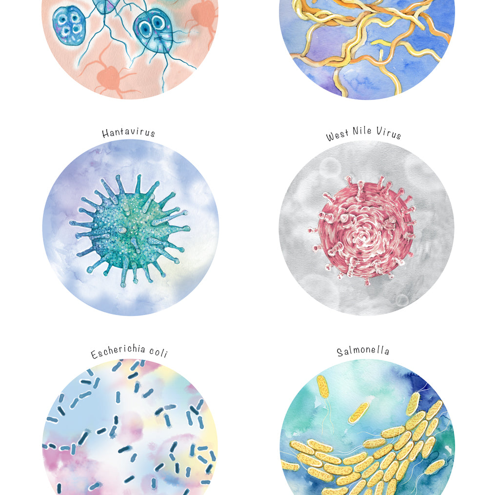 Climate Sensitive Disease Causing Pathogens Collection