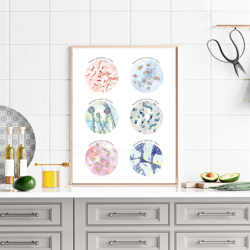 Microbiology Kitchen Art Set of 4