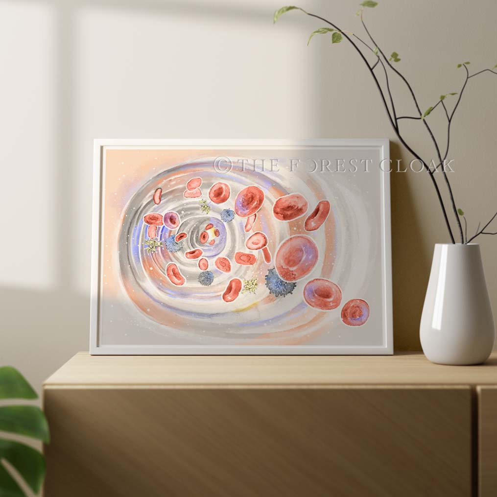 The Journey of Blood Cell