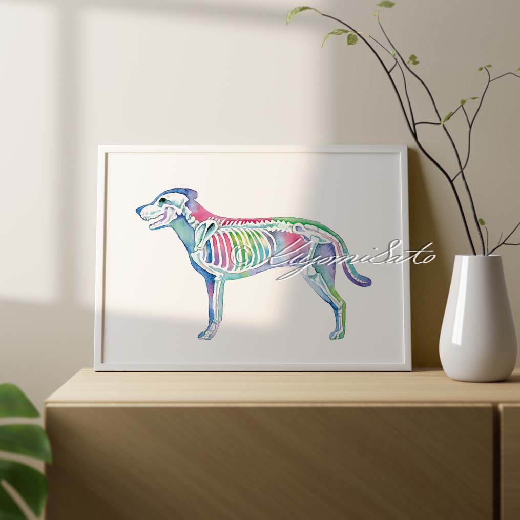 Dog Skeletal System Horizontal Art