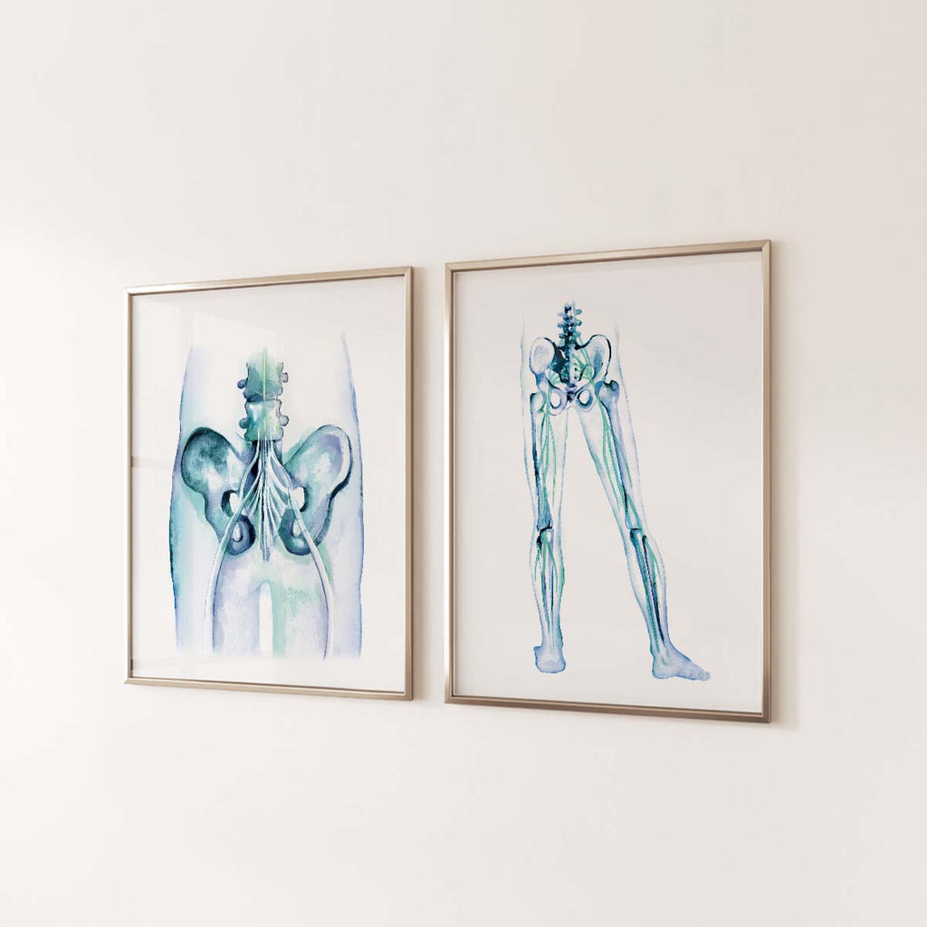 Sciatic Nerve Art Prints Set of 2
