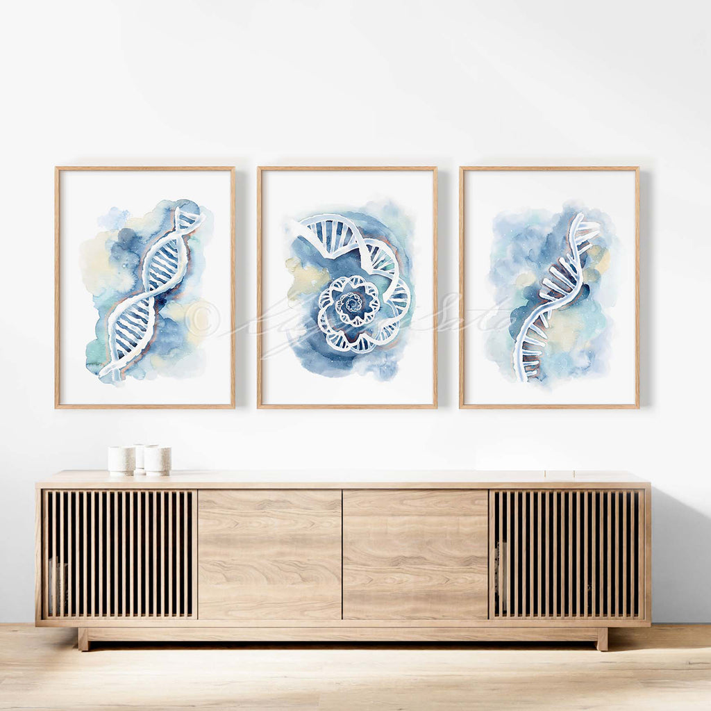 DNA, RNA, DNA Spiral,  Art poster set of 3