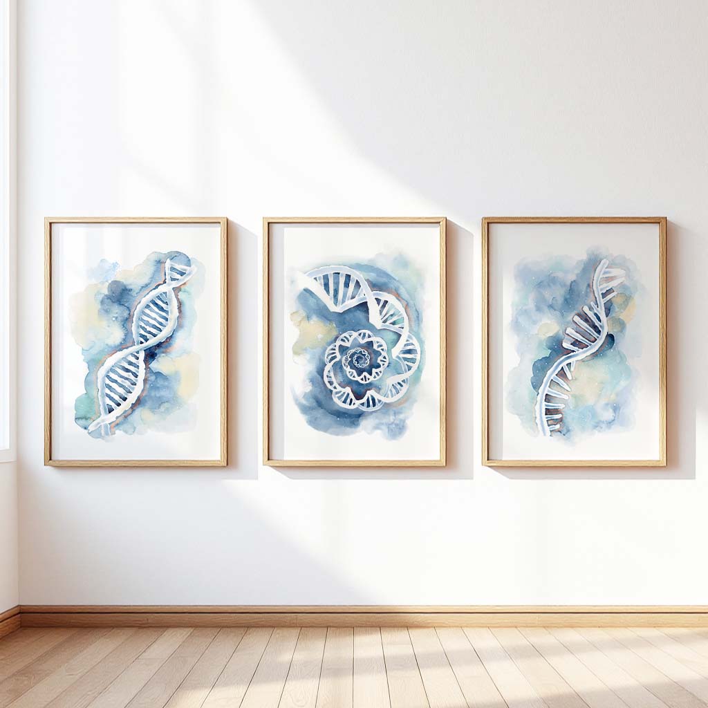 DNA, RNA, DNA Spiral,  Art poster set of 3
