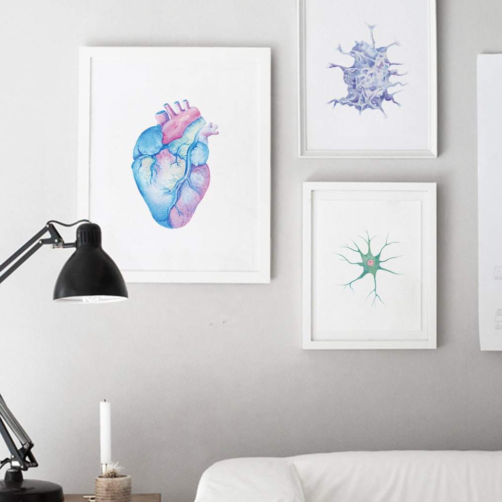 Anatomical Heart Poster in Blue