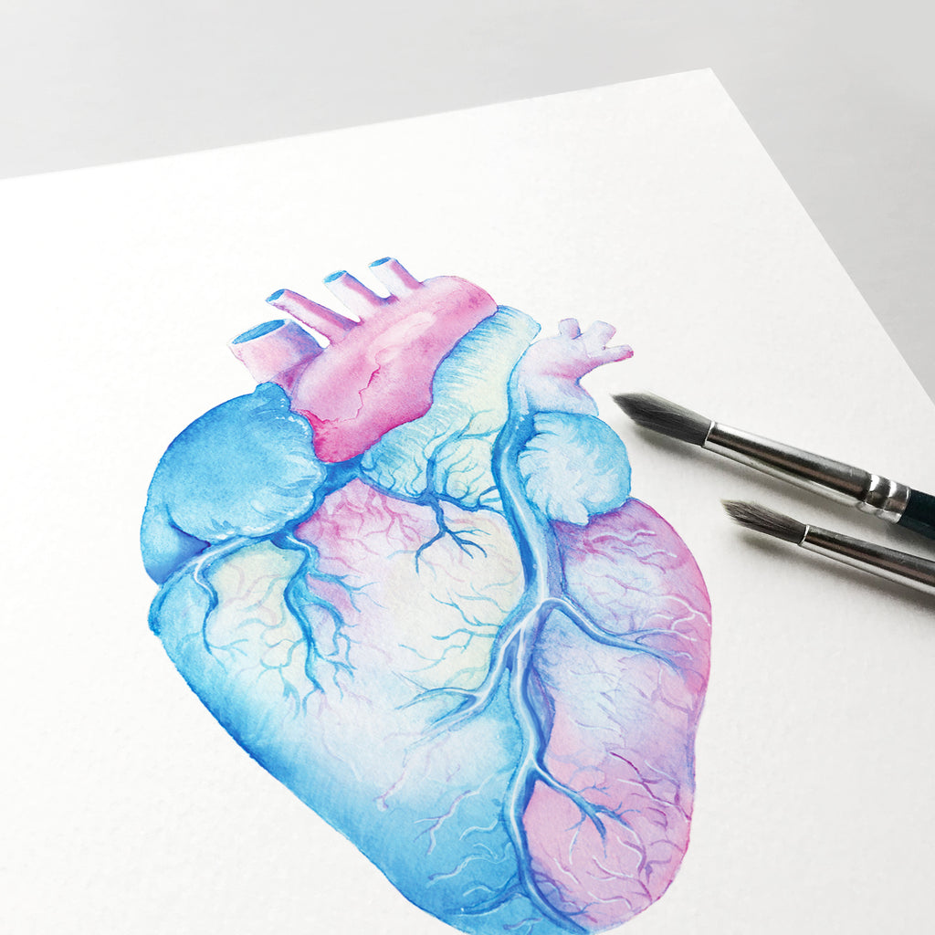 Anatomical Heart Poster in Blue