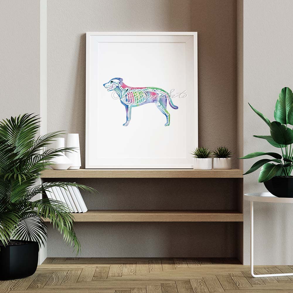 Dog Skeletal System Vertical Art