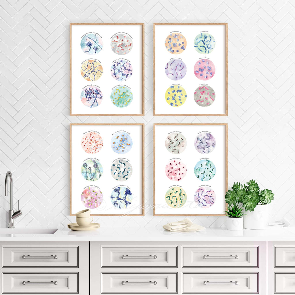 Microbiology Kitchen Art Set of 4