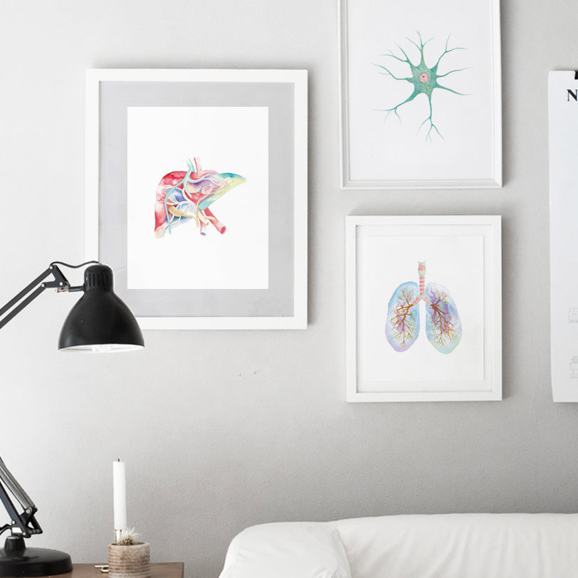 Human Liver Watercolor painting
