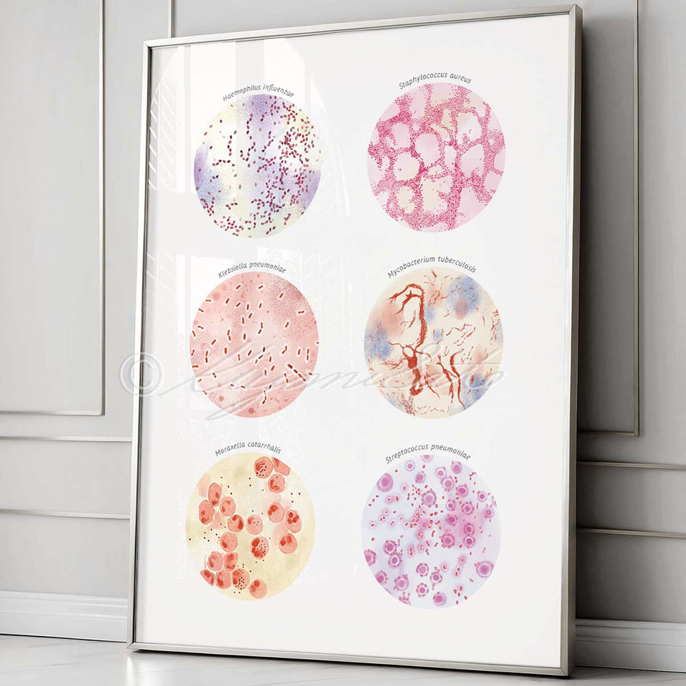 Respiratory Infection Causing Bacteria Collection Art Poster