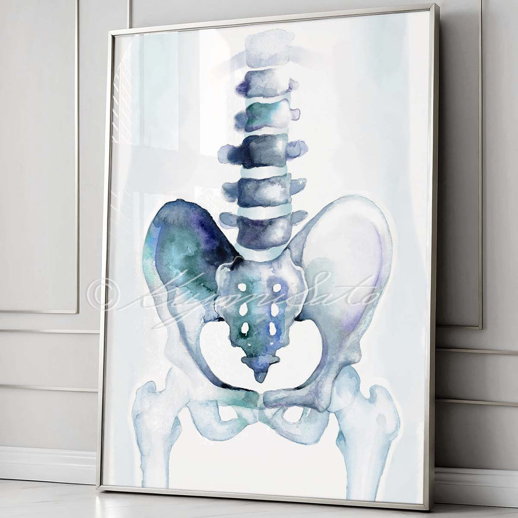 Pelvic Girdle Abstract Art