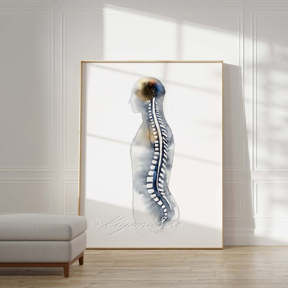 Spine Anatomy Art
