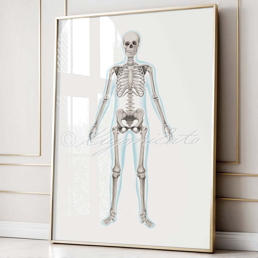Human Anatomy Art Set of 4