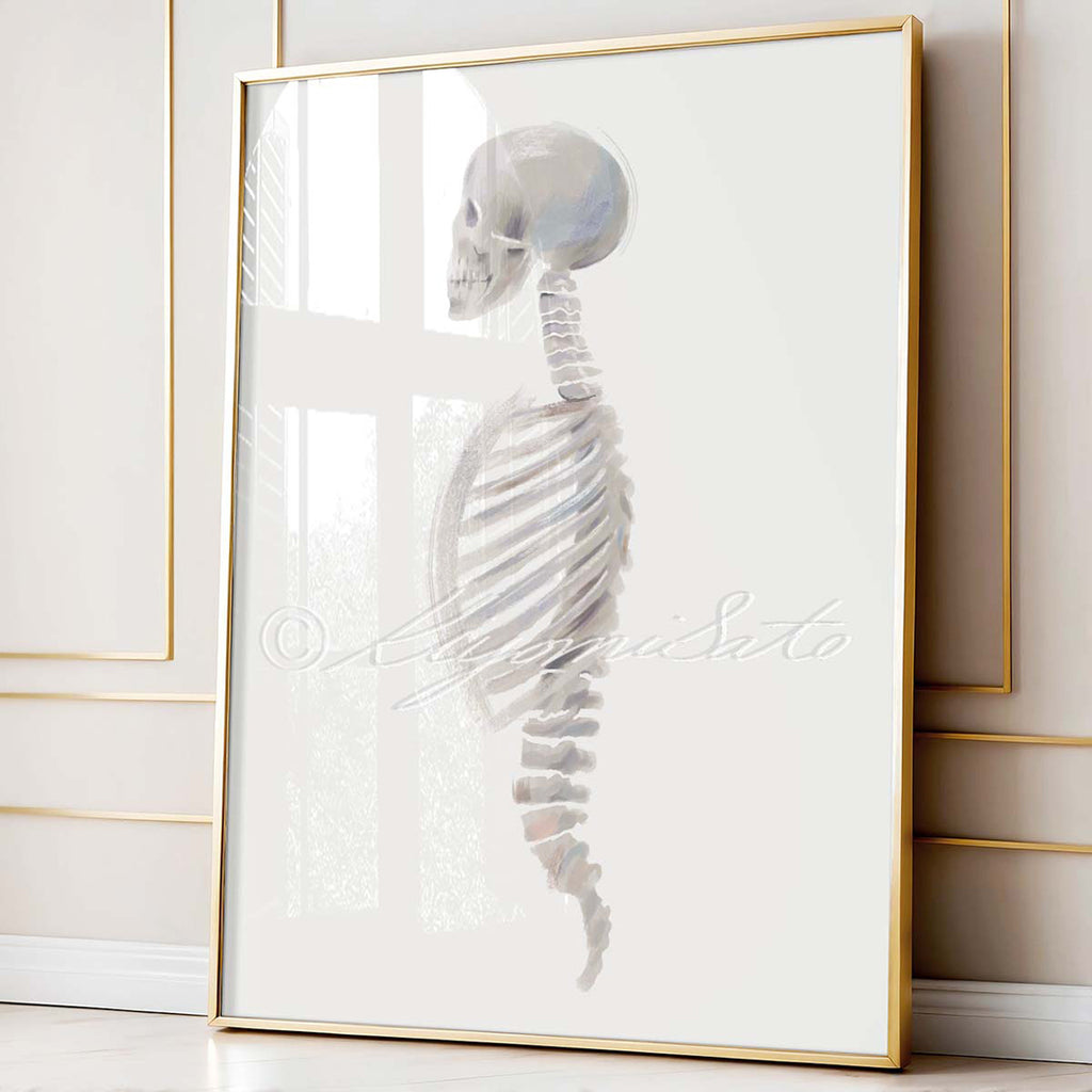 Physical Therapy Orthopedics Gallery Art poster set of 6