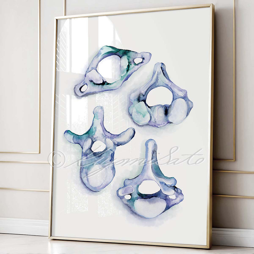 Vertebrae collection Blue Abstract