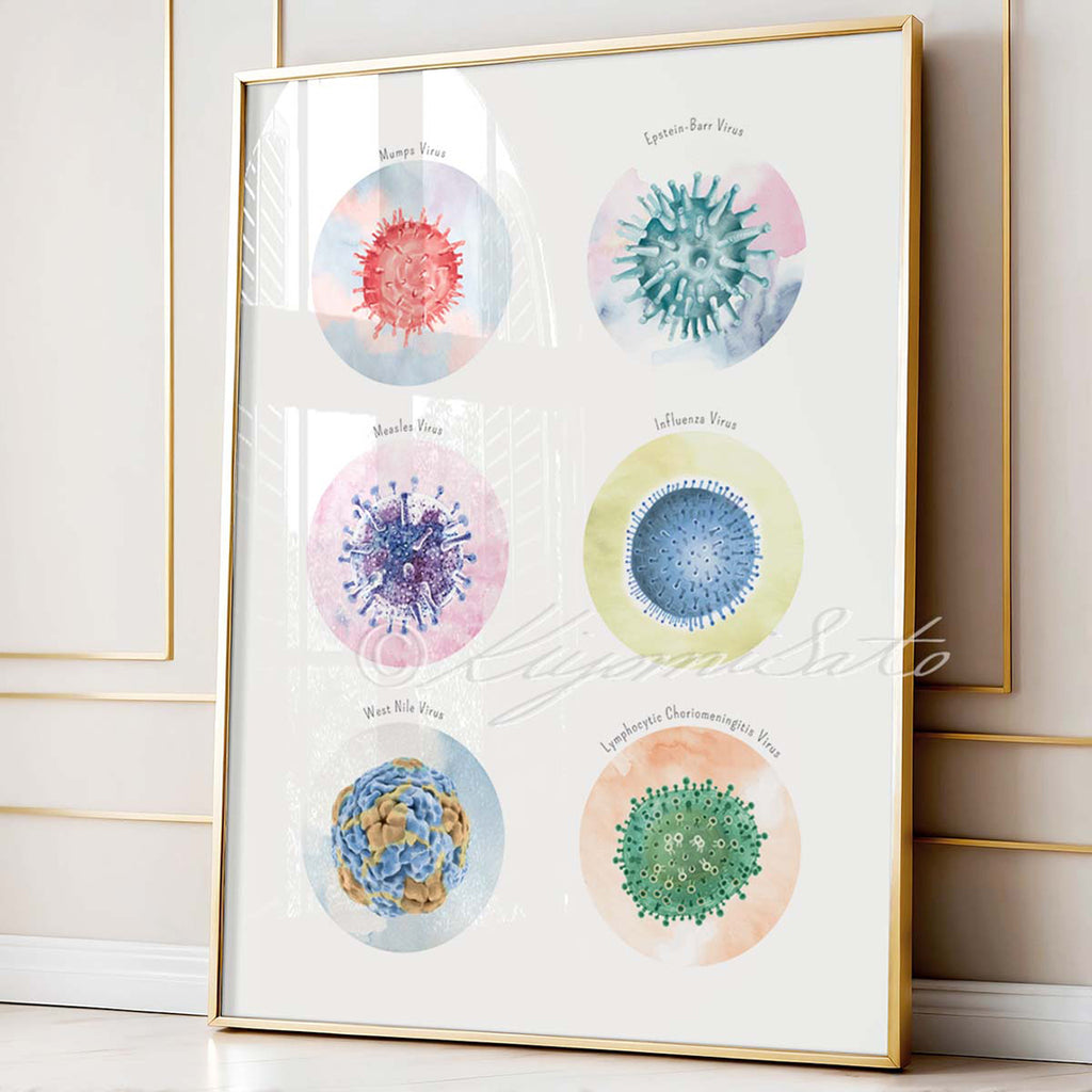 Meningitis Causing Virus Collection
