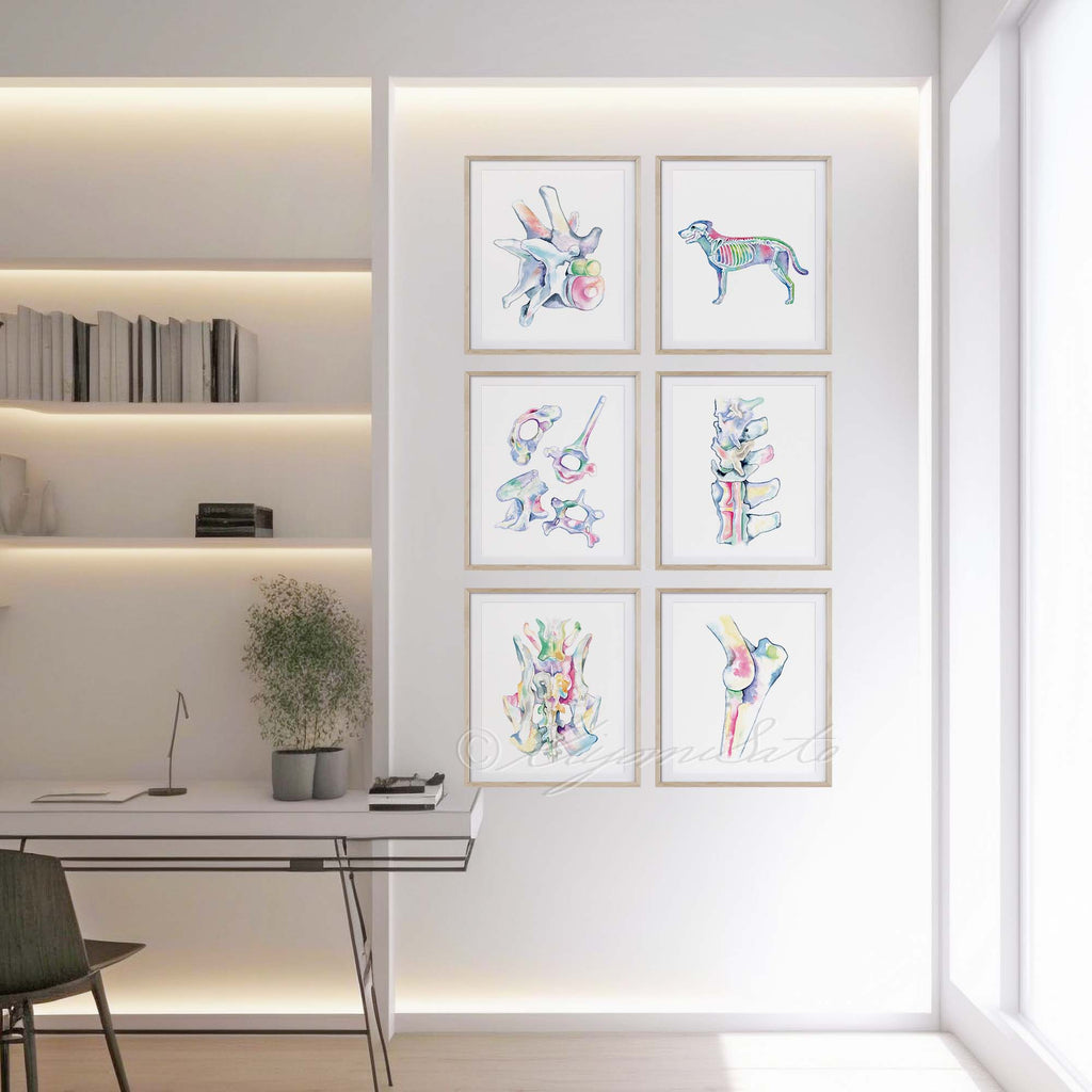 Dog Orthopedics Art poster set of 6