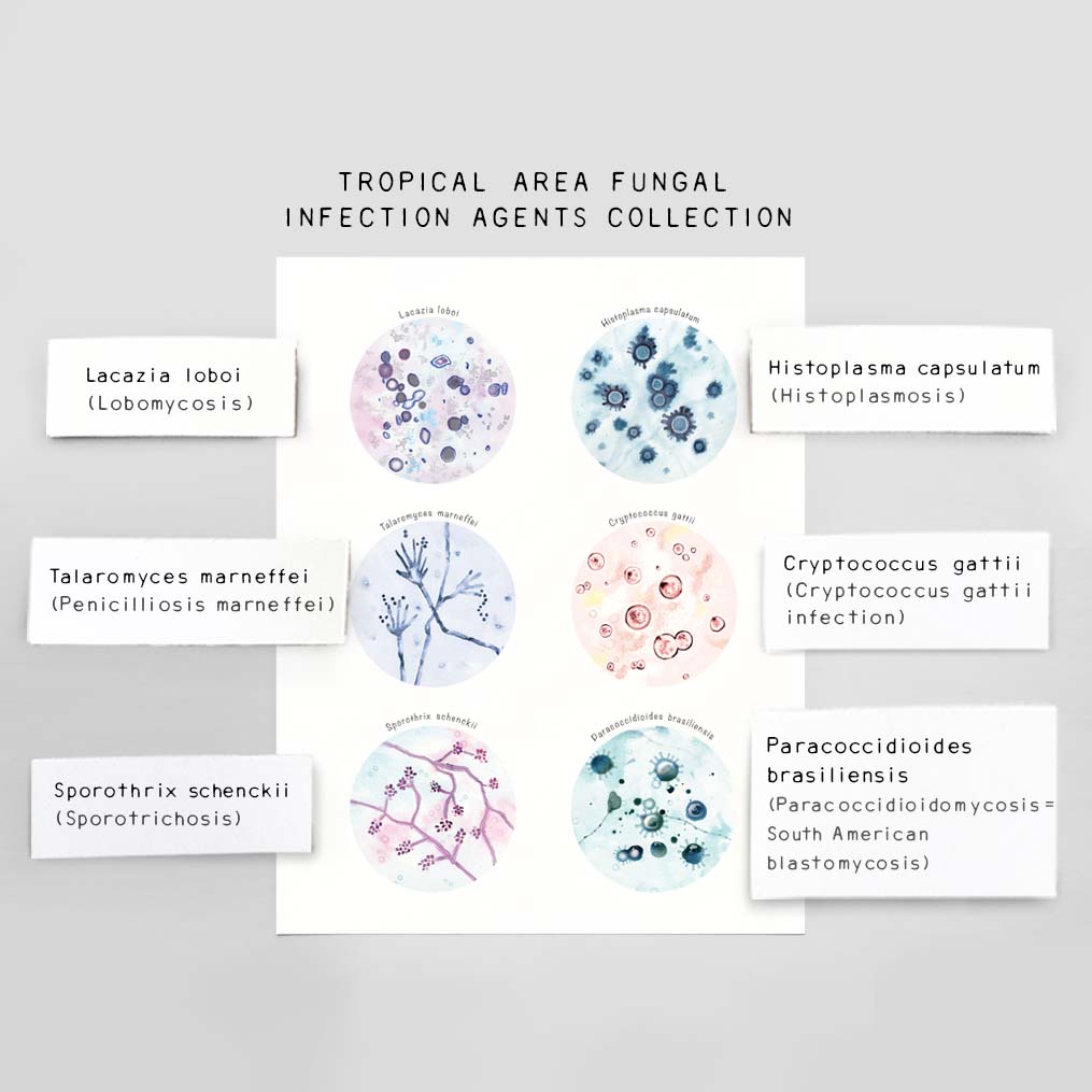 Tropical Area Fungal Infection Agents Collection
