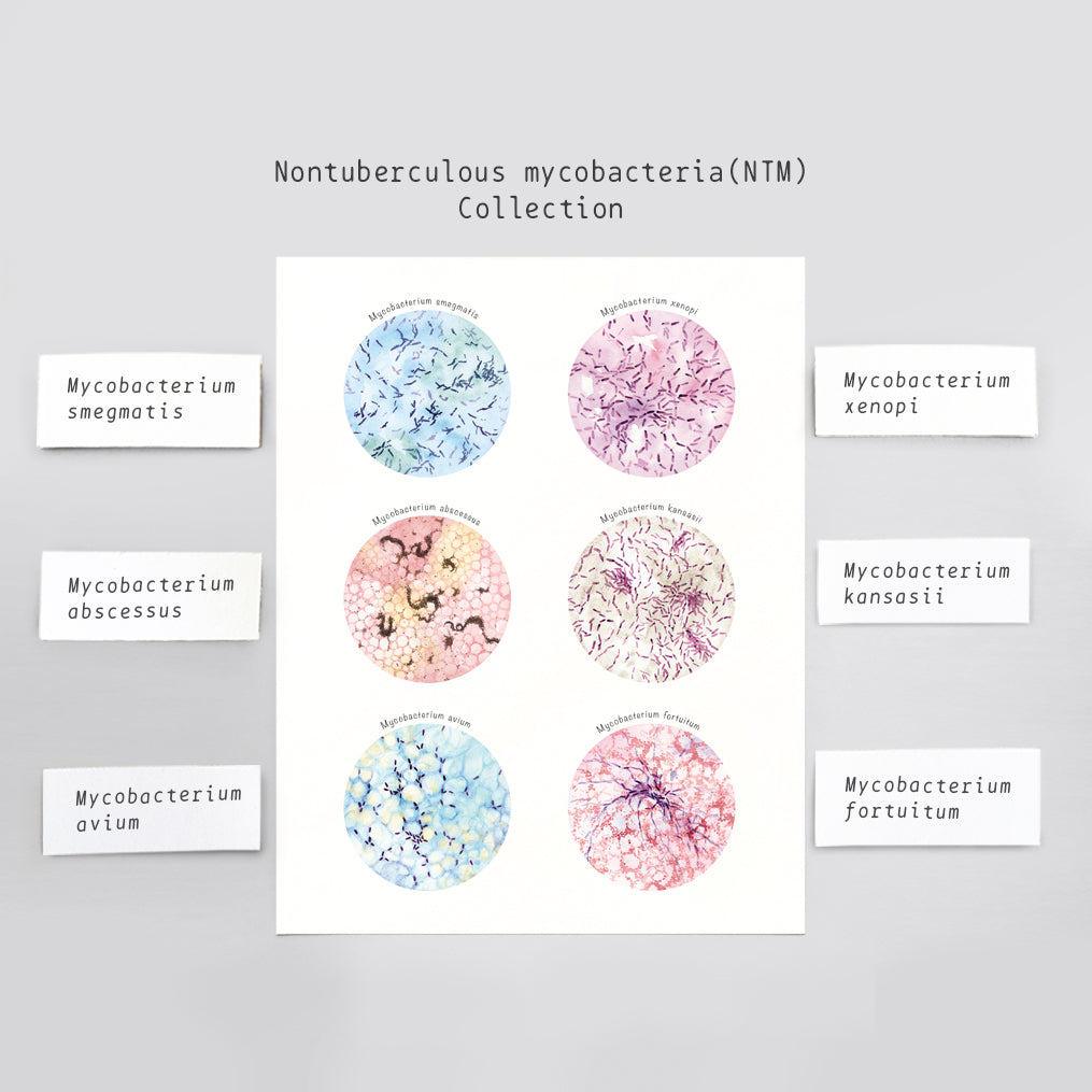 Nontuberculous Mycobacteria Collection