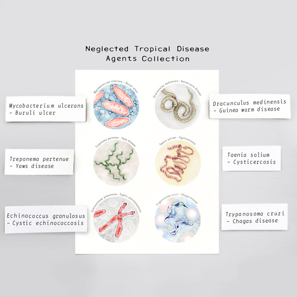 Neglected Tropical Disease Agents Collection