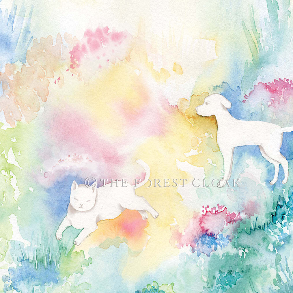 Dog and cat in the garden