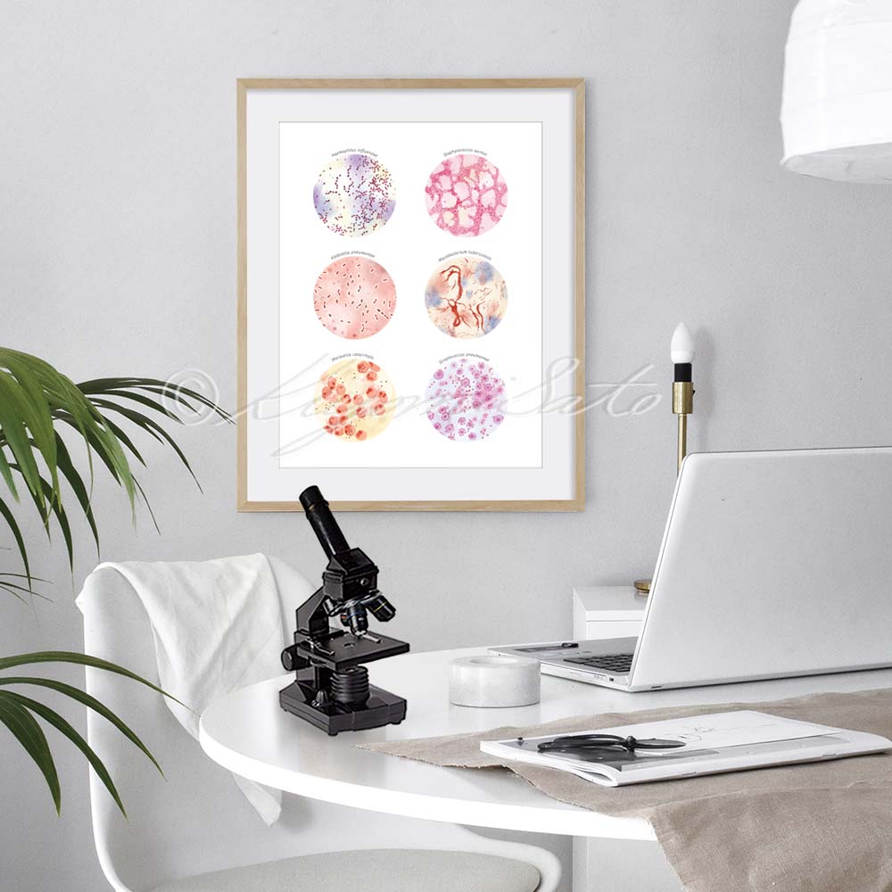 Respiratory Infection Causing Bacteria Collection Art Poster