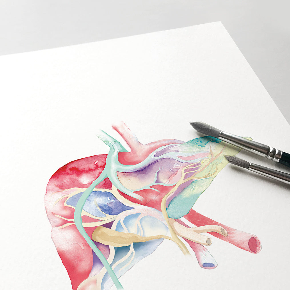 Human Liver Watercolor painting