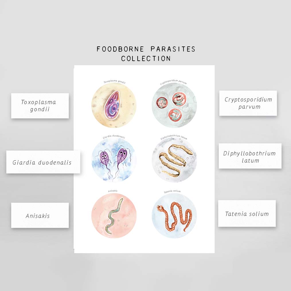 Foodborne Parasites Collection