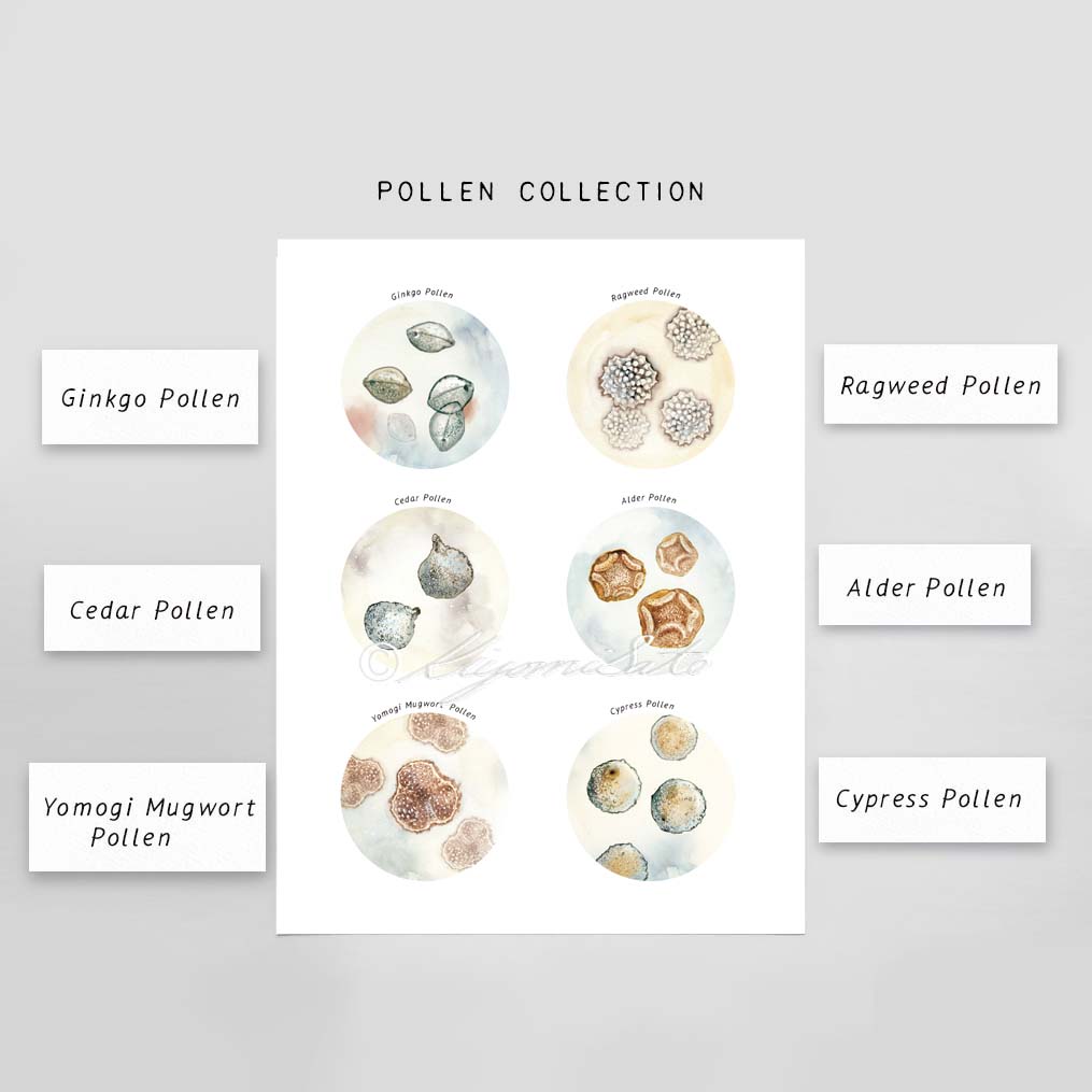 Pollen Collection