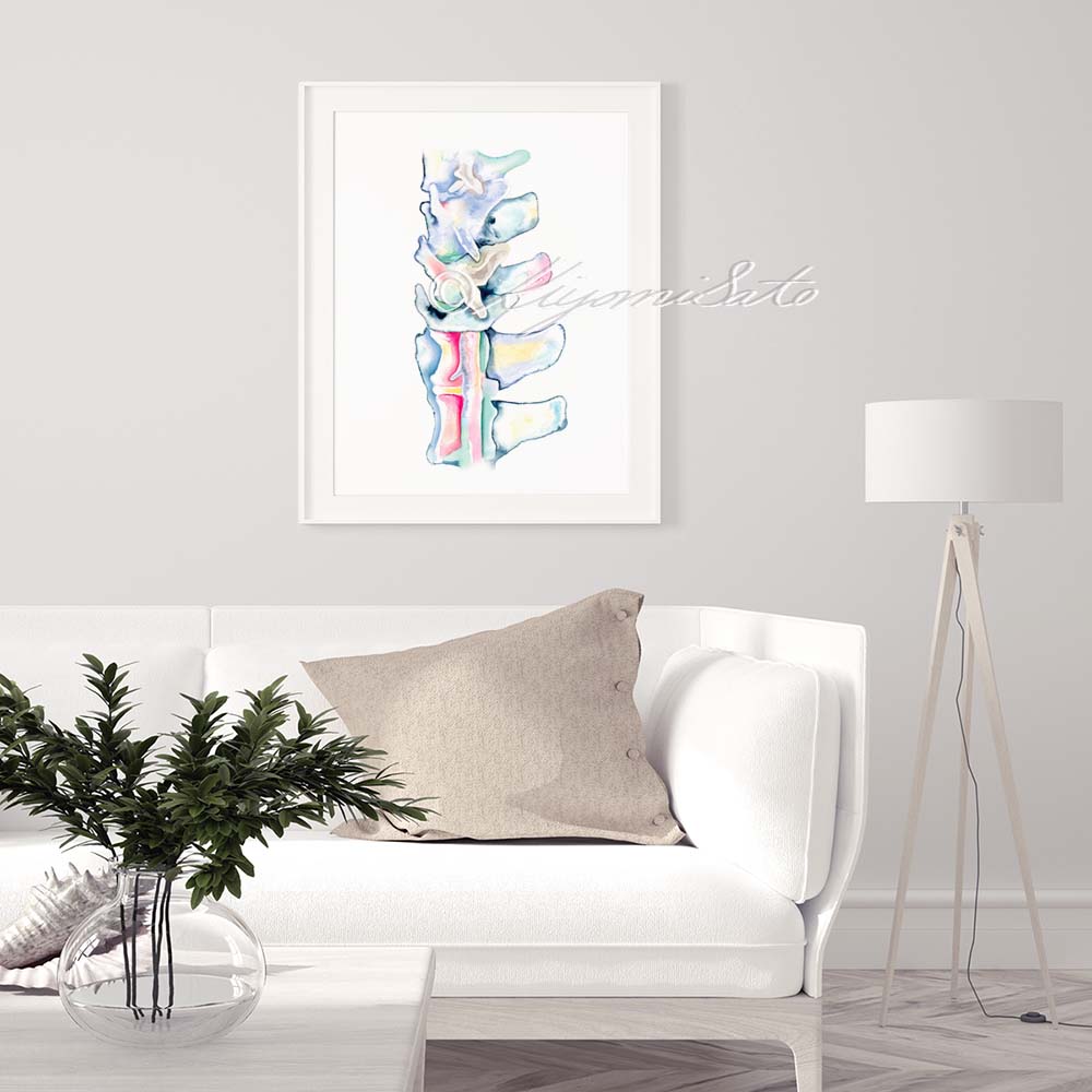 Dog Spinal Cord Art