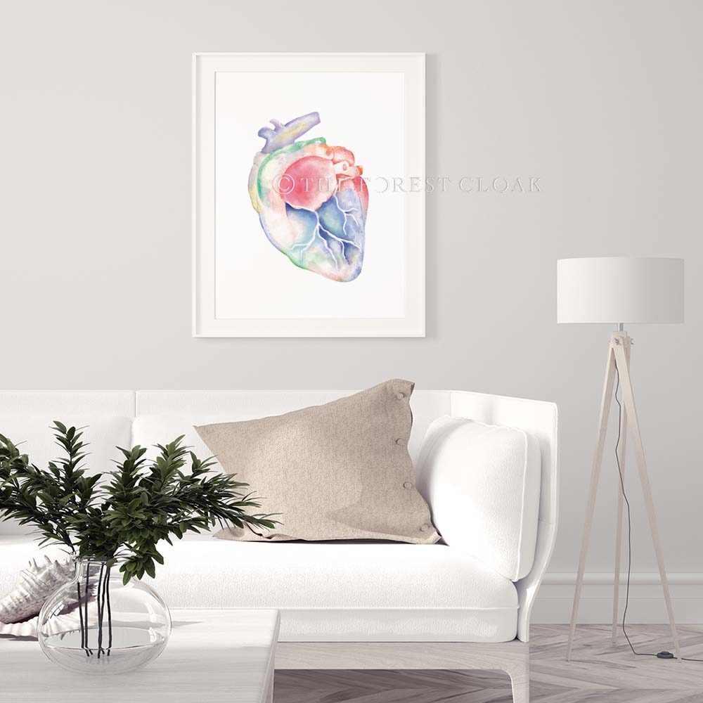 Feline Heart Anatomy Art