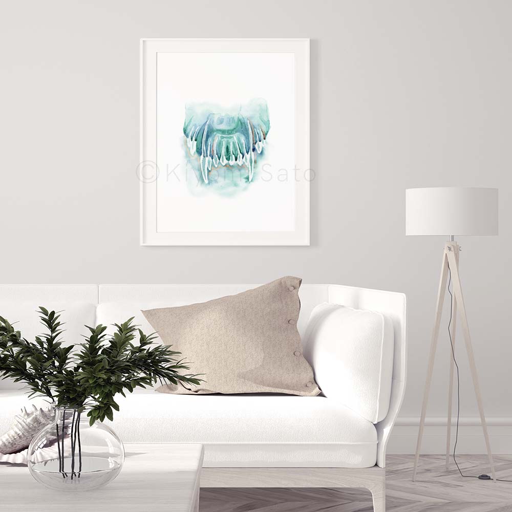 Canine Maxillary Incisors Tooth Art