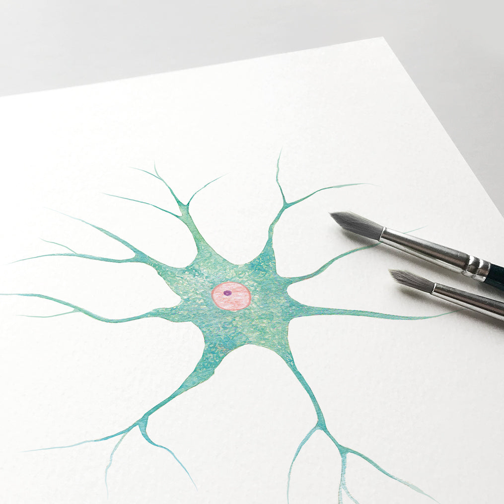 Nerve Cell