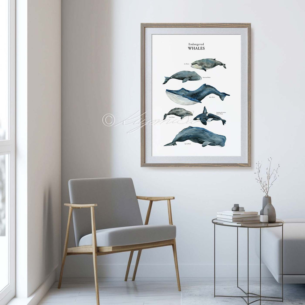 Whale Poster Endangered Whale Watercolor Painting