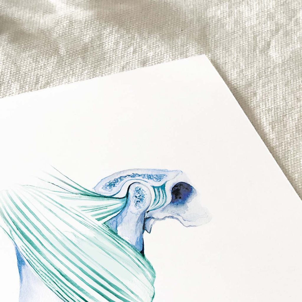 Masseter muscle and Temporal bone Art prints set of 2