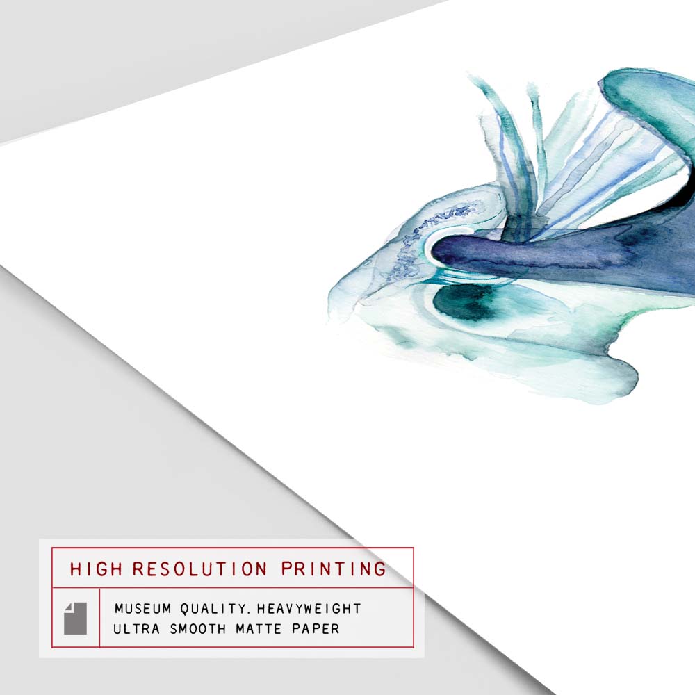 Temporomandibular joint art