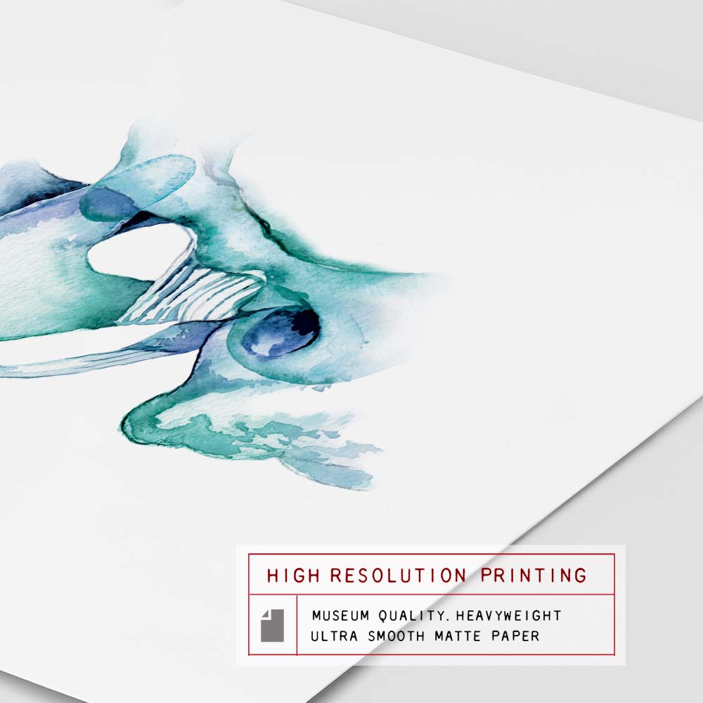 TMJ and Ligament Art Print