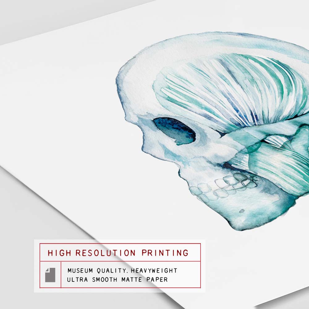 Masseter muscle and Temporal bone Art prints set of 2